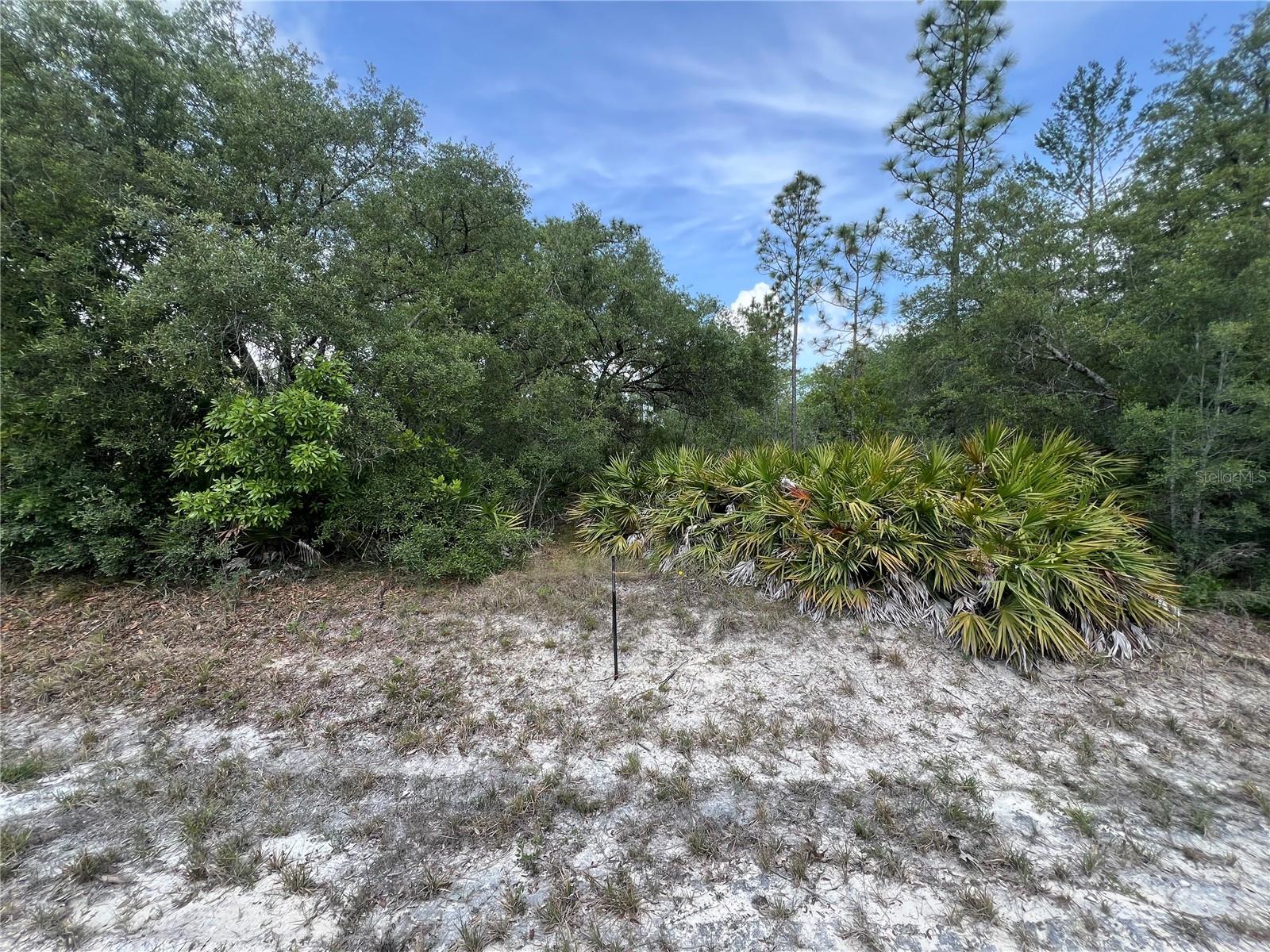 Listing Details for 18167 Parakeet Road, WEEKI WACHEE, FL 34614