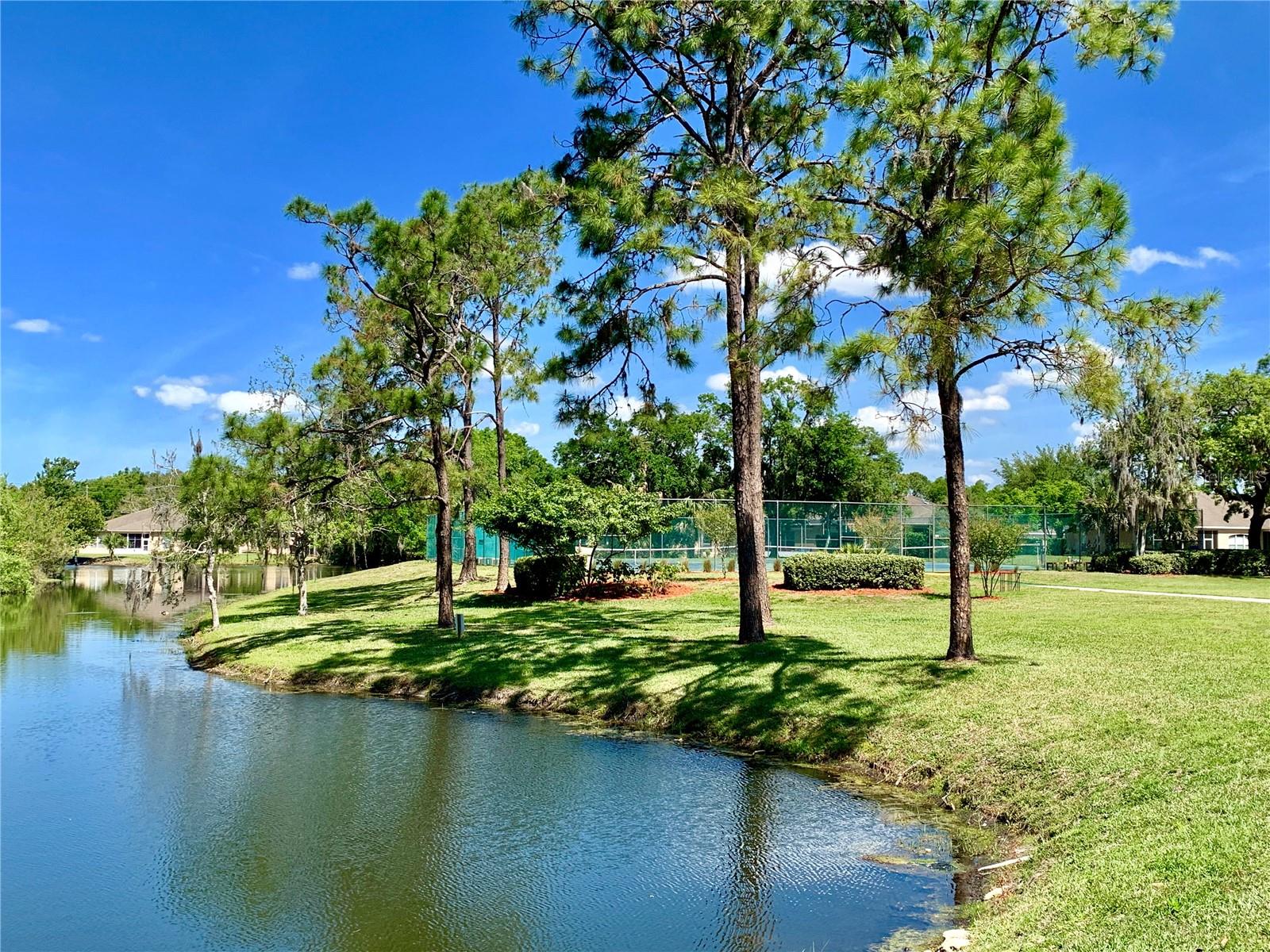 Image 31 of 35 For 11631 Bayonet Lane