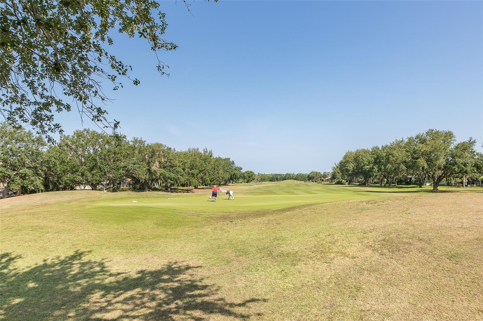 Listing photo id 55 for 10645 Garda Drive