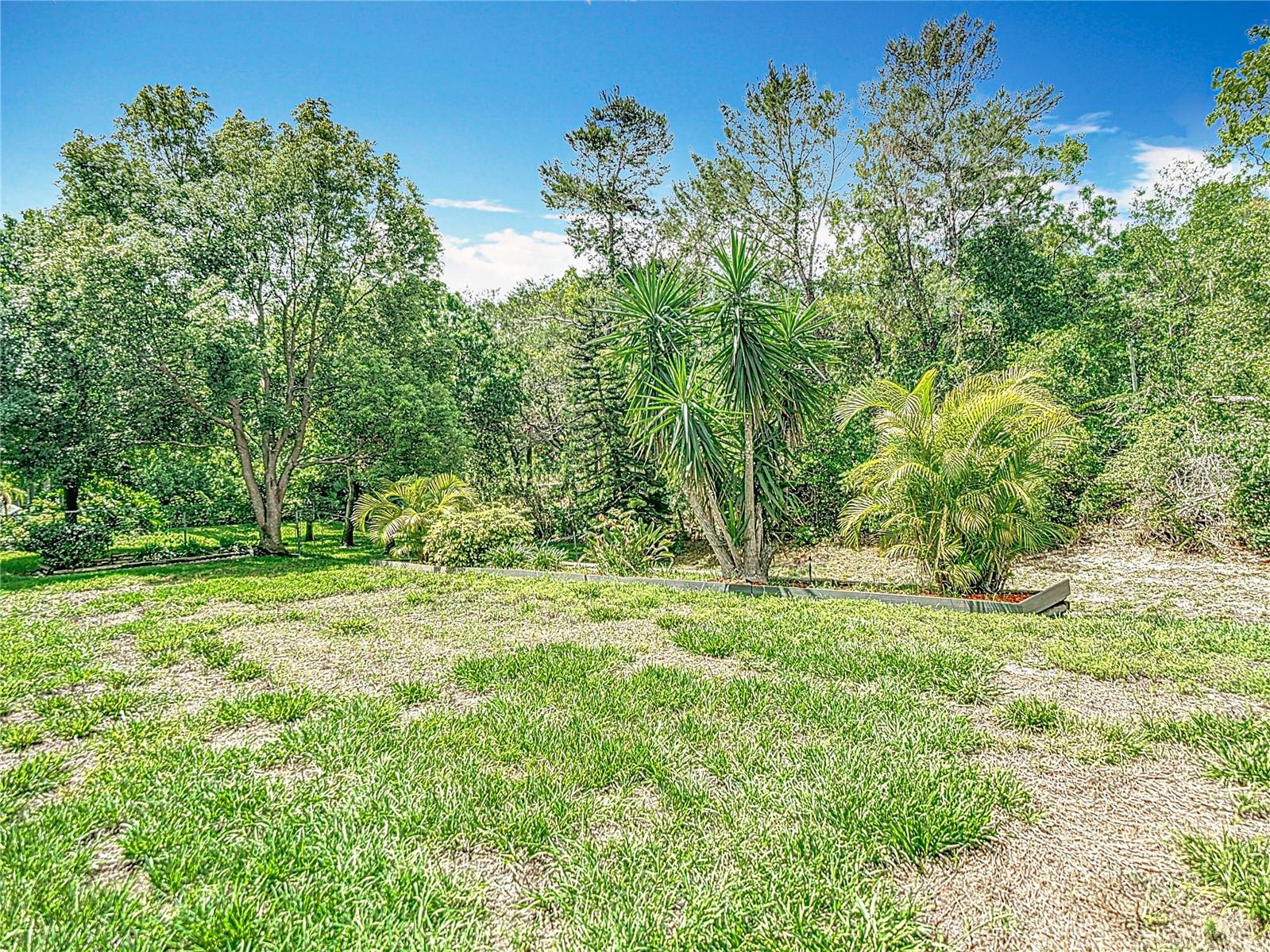 Image 48 of 52 For 13003 Sandburst Lane