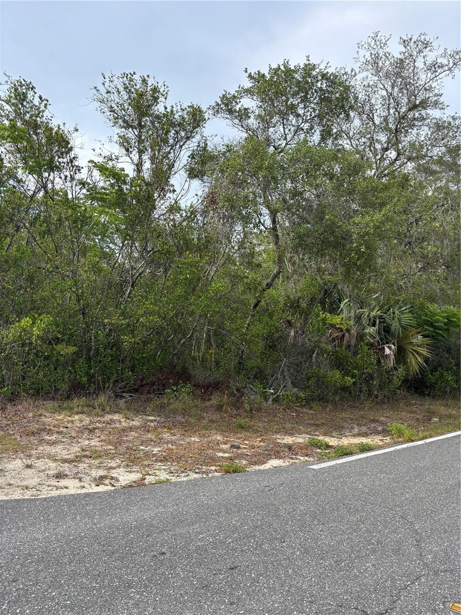 Image 2 of 2 For 9402 Noddy Tern Road