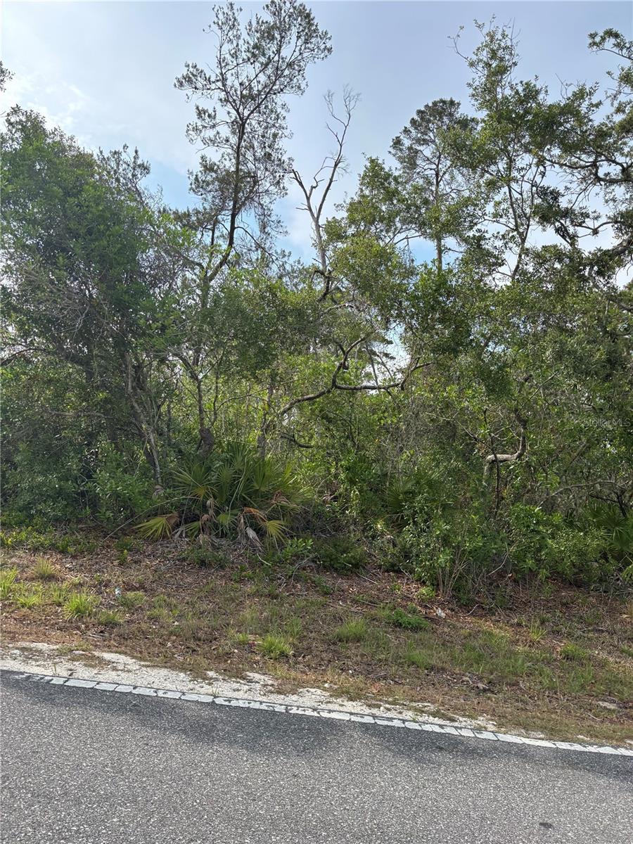 Details for 9412 Noddy Tern Road, WEEKI WACHEE, FL 34613