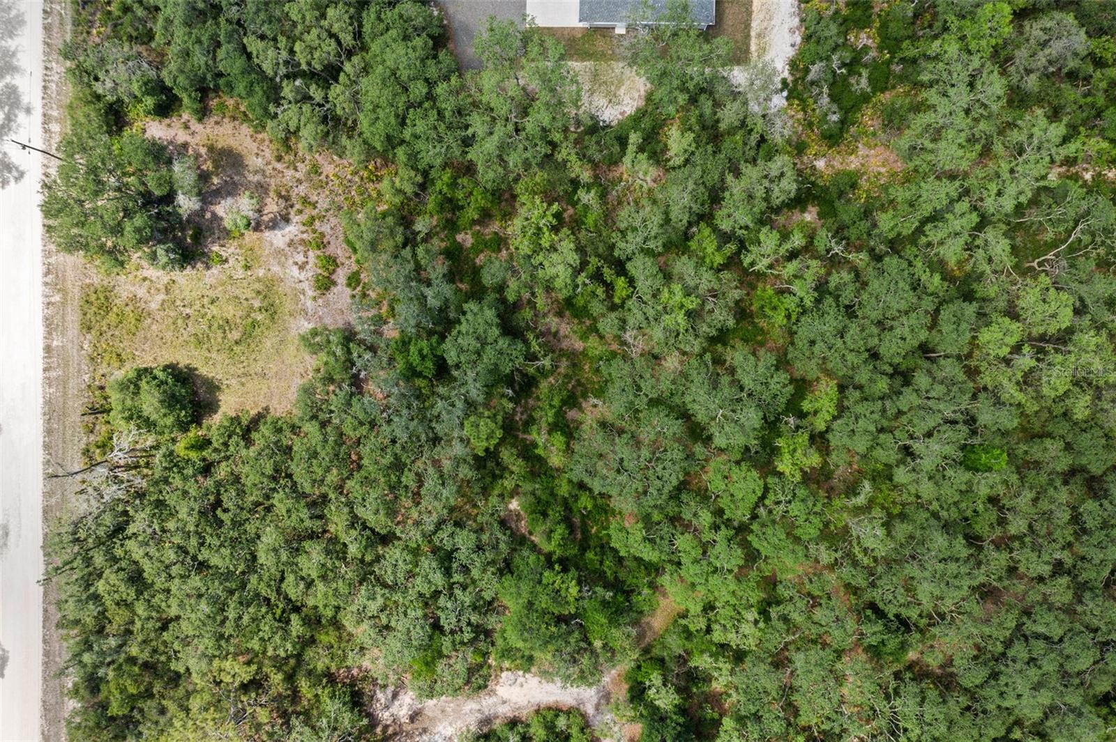 Image 14 of 17 For 8184 Chimney Rock Drive
