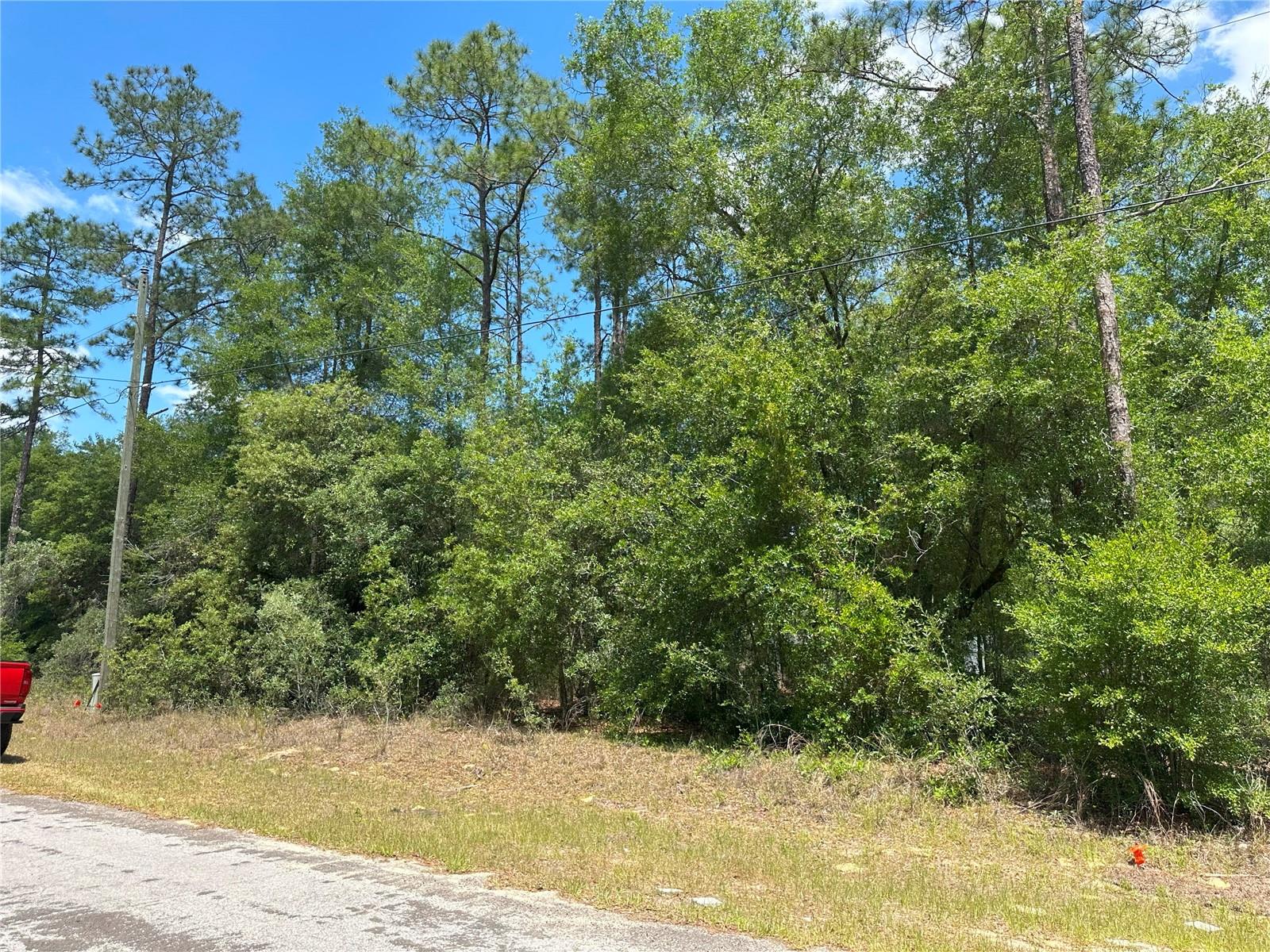 Details for 1571 Alexander Drive, CITRUS SPRINGS, FL 34434