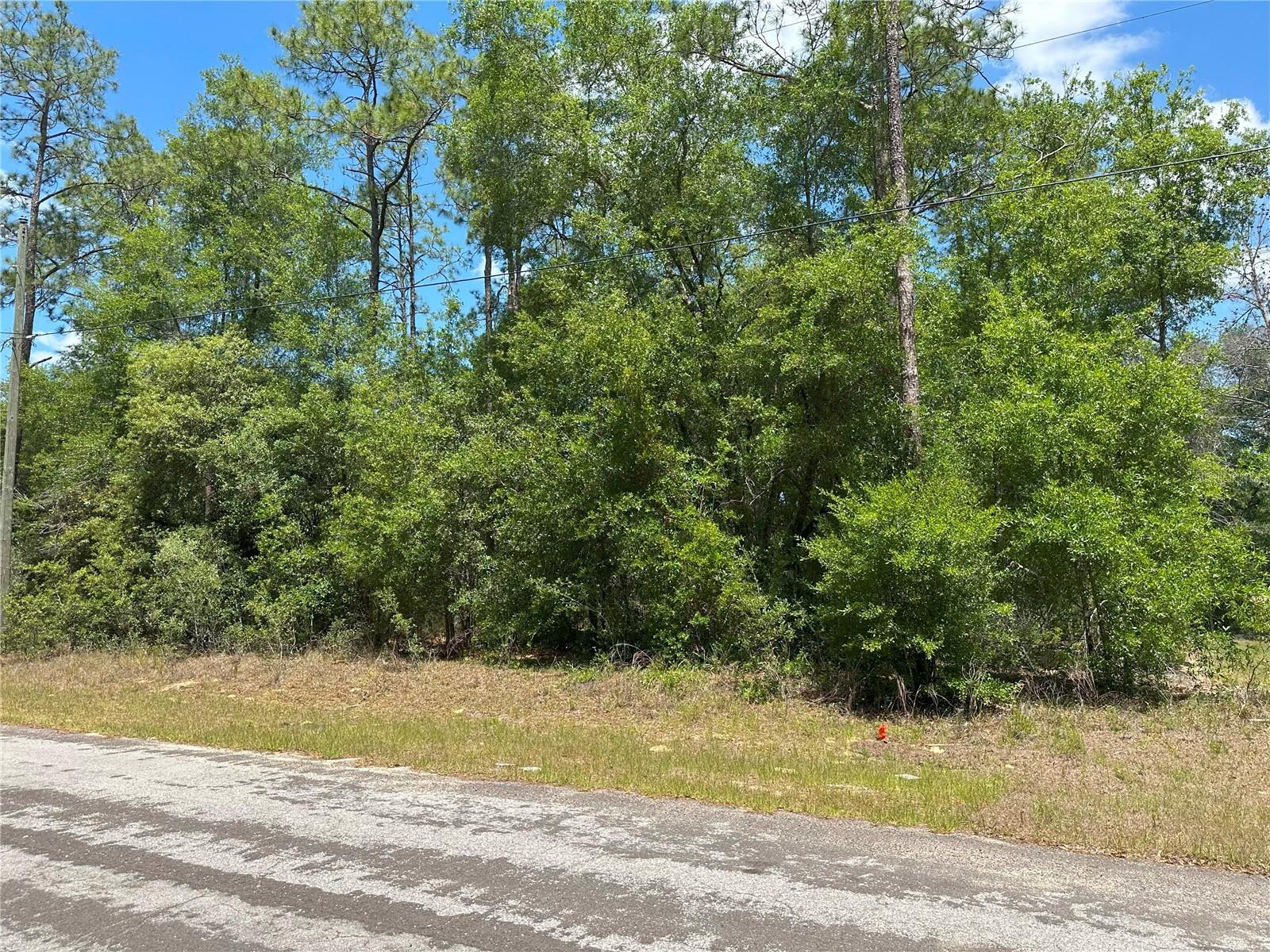 Listing photo id 0 for 1571 Alexander Drive