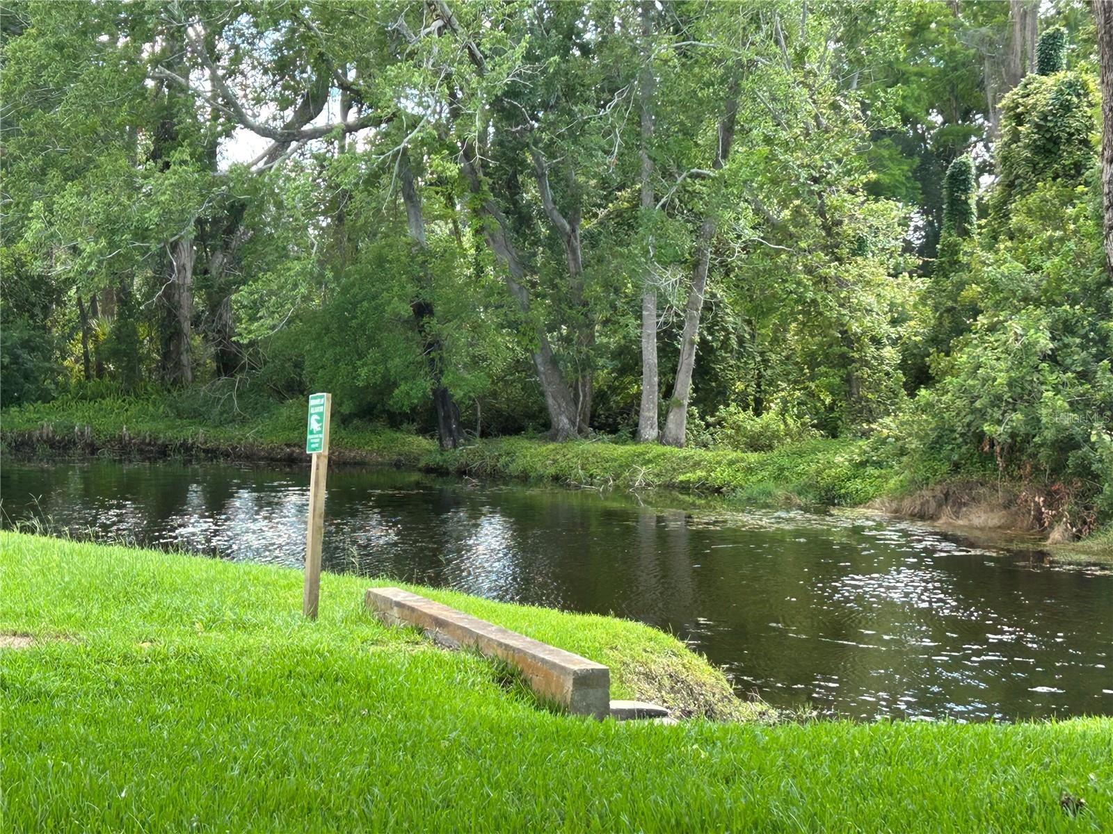 Details for 4903 Myrtle Oak Drive 12, NEW PORT RICHEY, FL 34653
