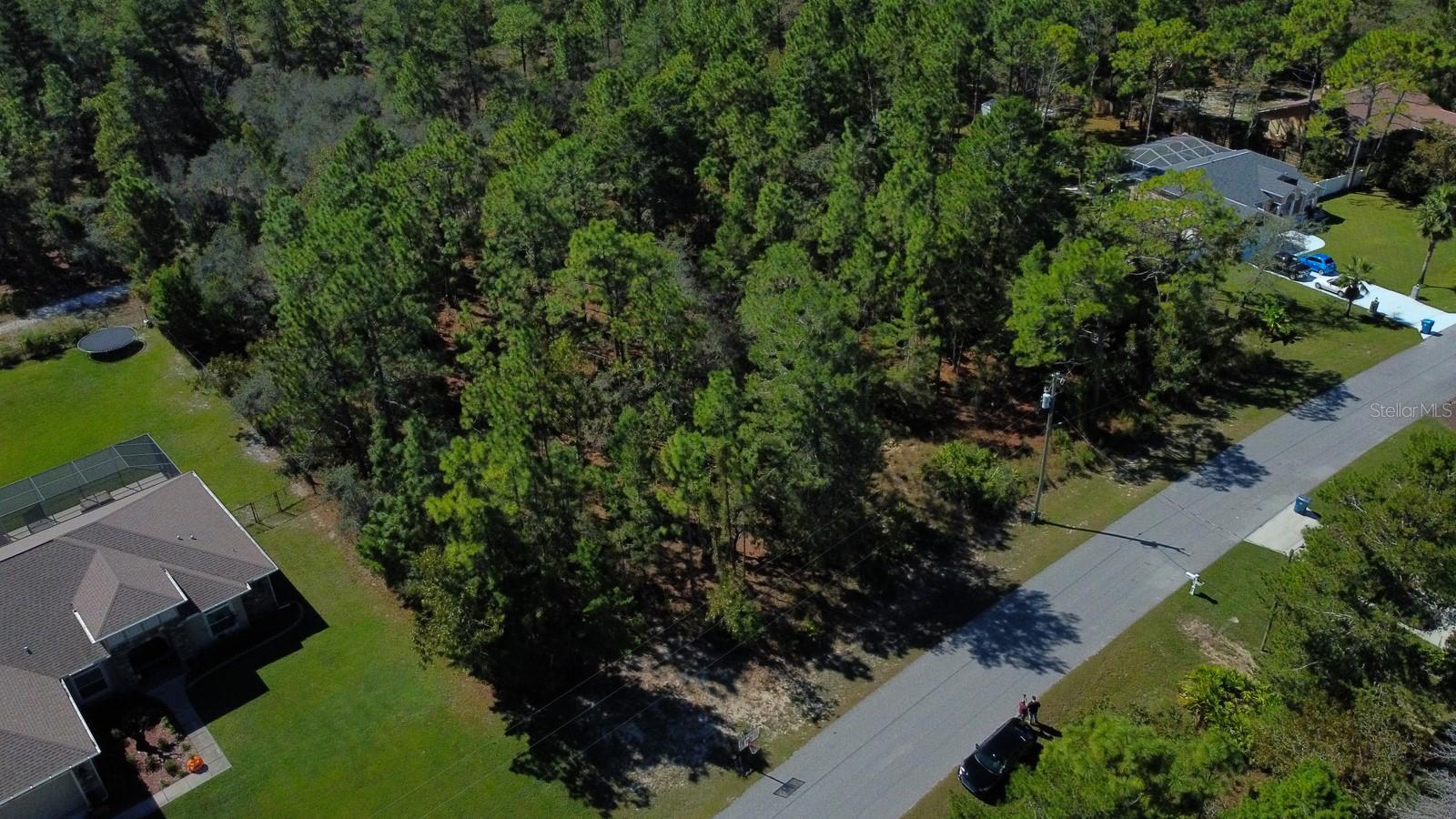 Image 4 of 7 For Flock Avenue