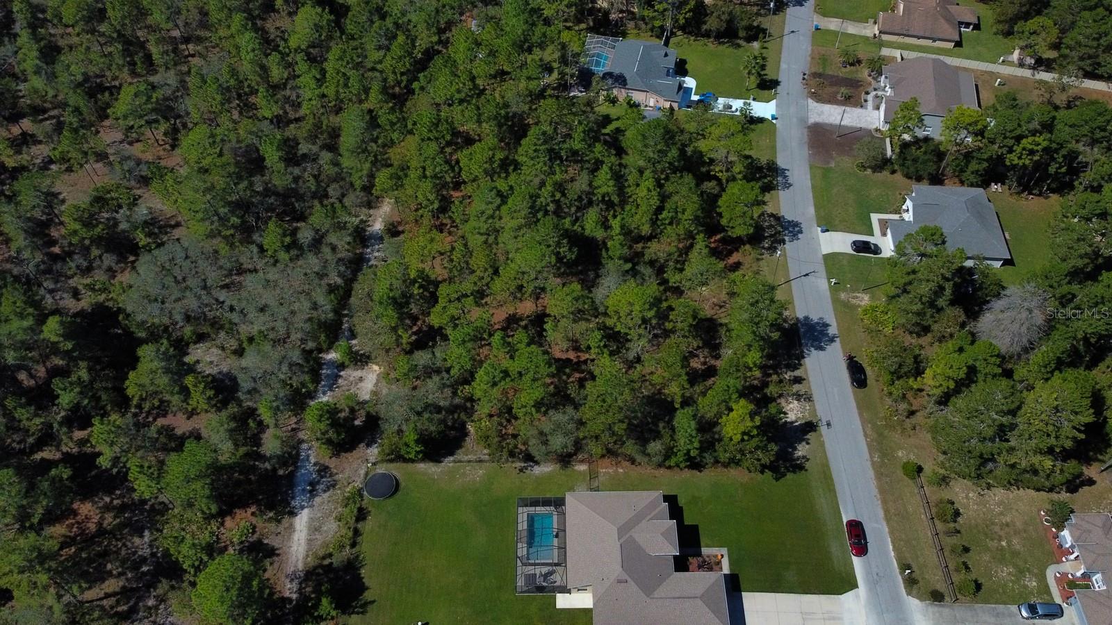 Image 6 of 7 For Flock Avenue