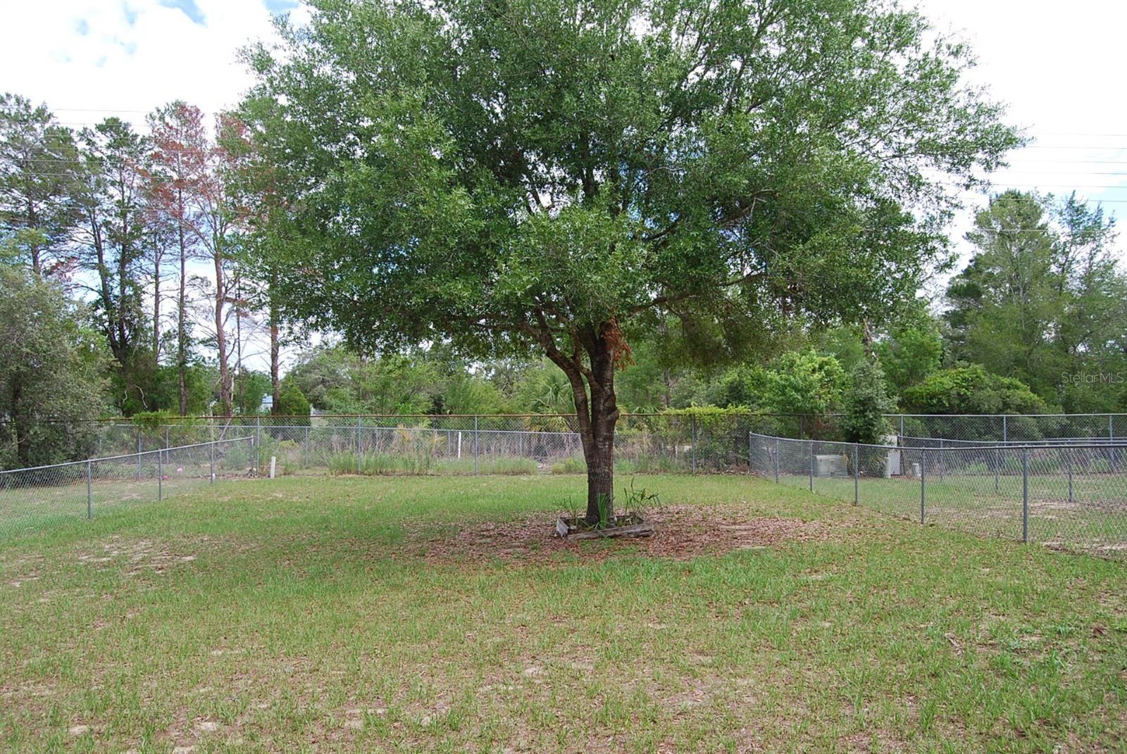Image 33 of 39 For 9587 Scepter Avenue