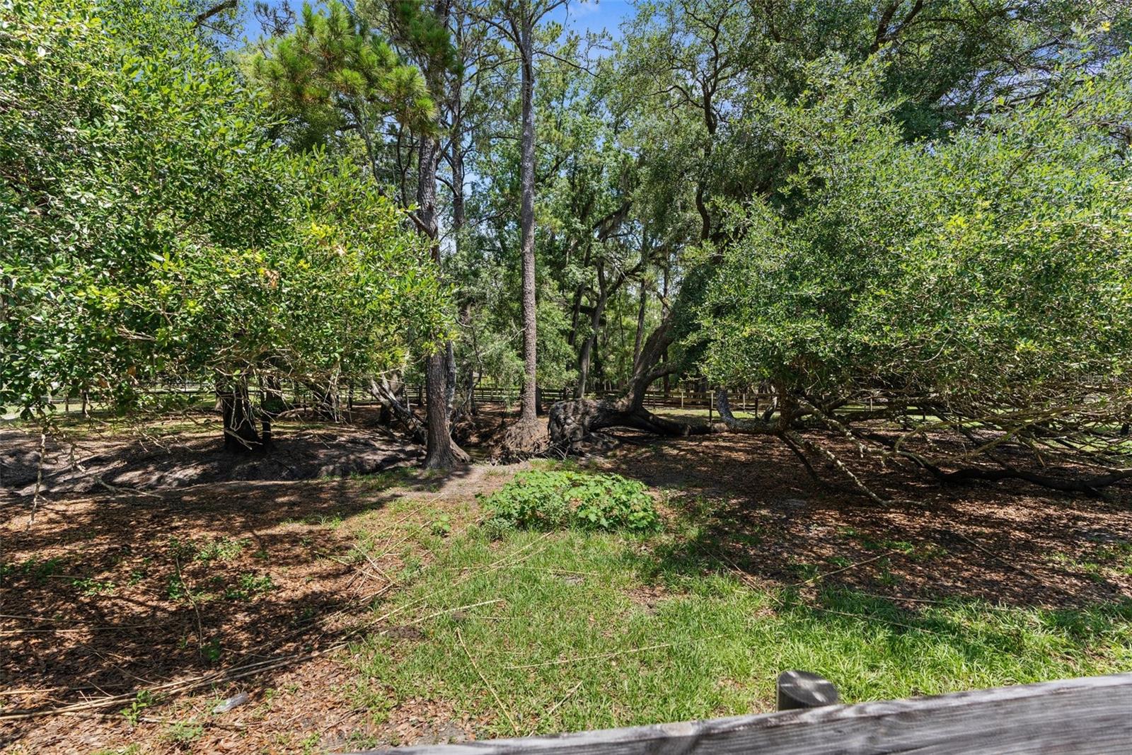 Image 54 of 60 For 1253 Culbreath Road