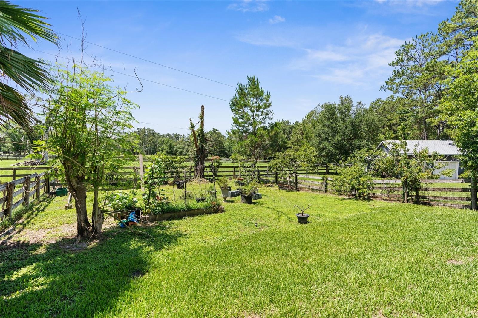 Image 56 of 60 For 1253 Culbreath Road