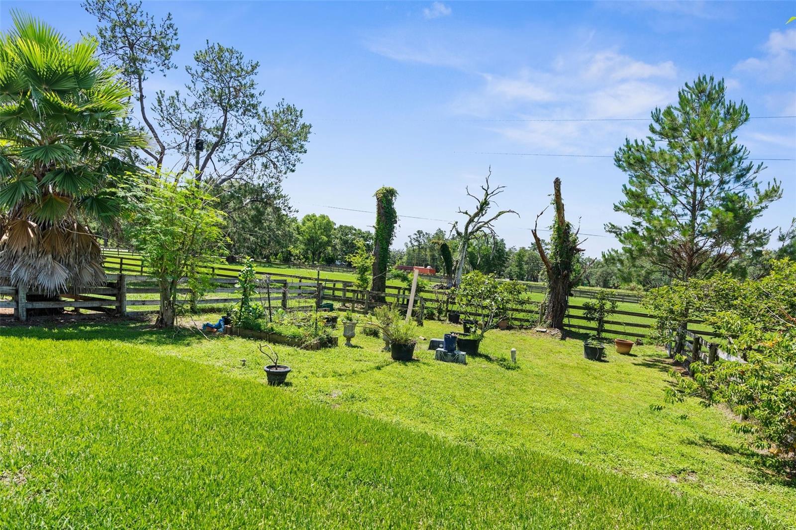 Image 57 of 60 For 1253 Culbreath Road