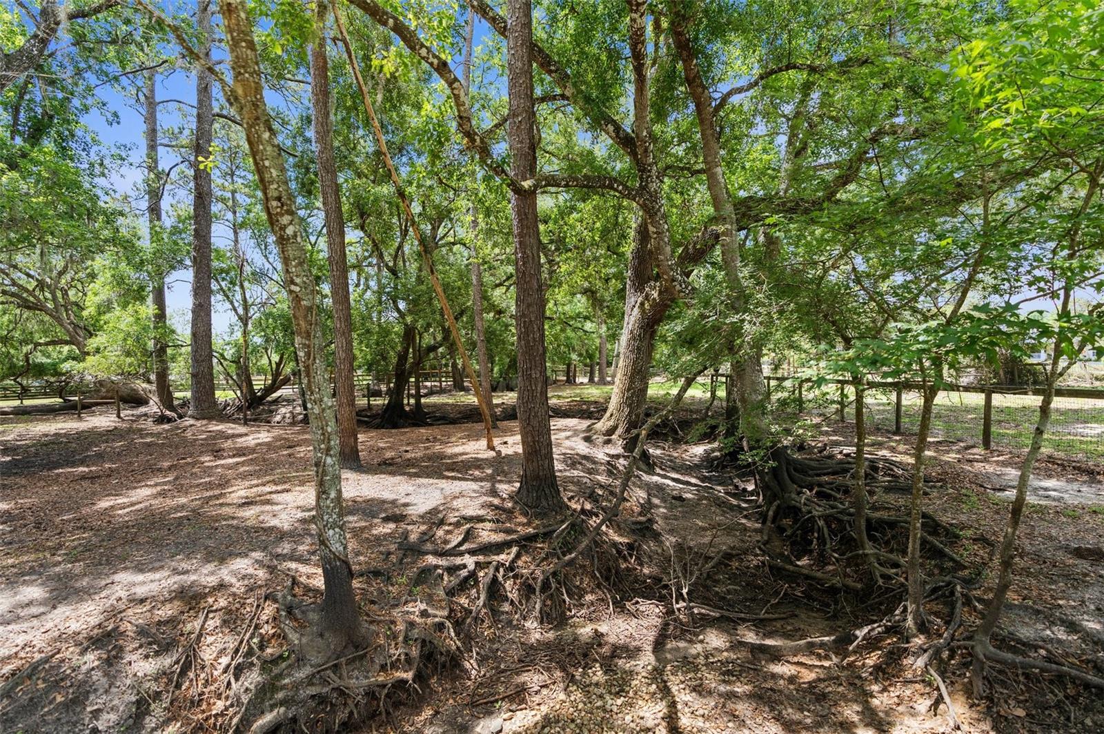 Image 60 of 60 For 1253 Culbreath Road