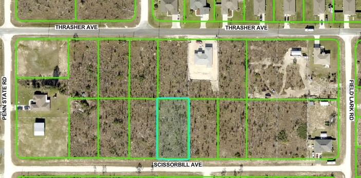 Details for Scissorbill Avenue, BROOKSVILLE, FL 34614