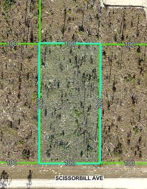 Image 2 of 2 For Scissorbill Avenue