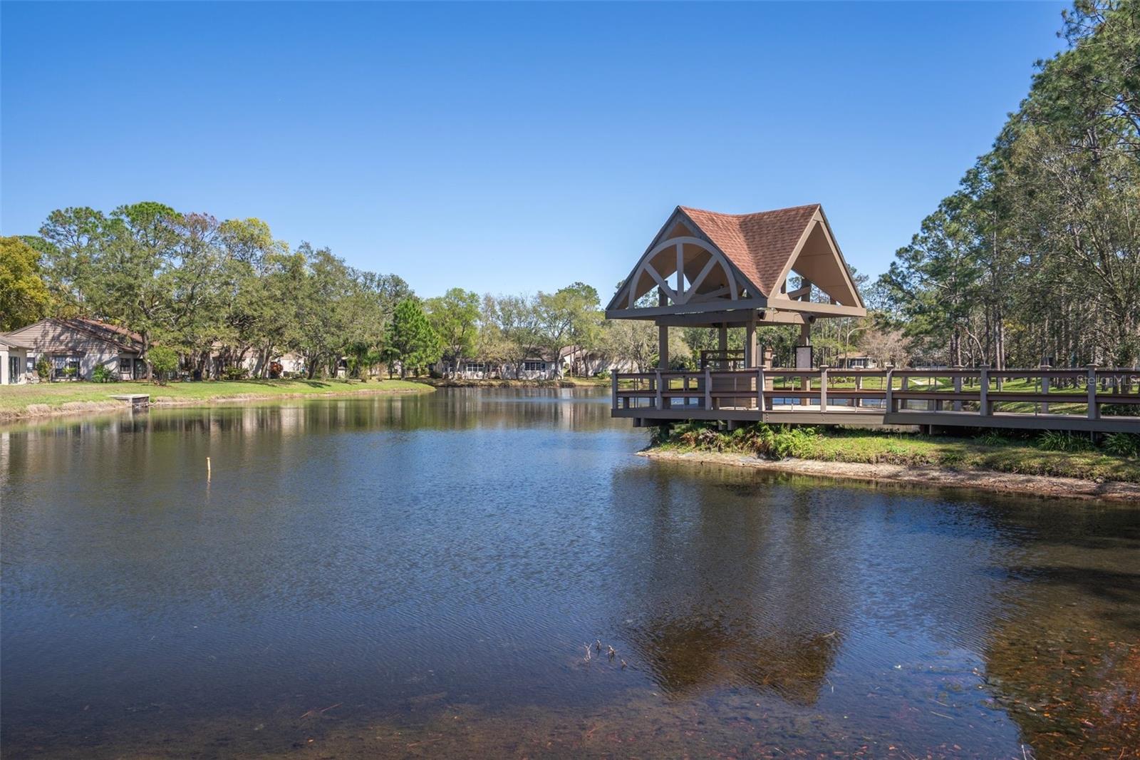 Listing photo id 71 for 7175 Bottle Brush Drive