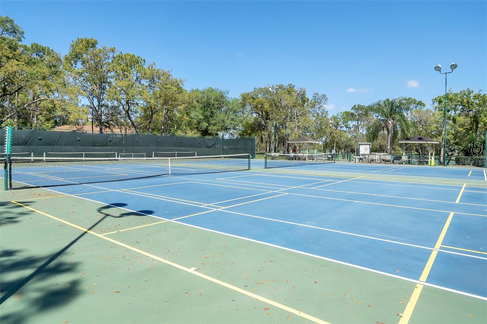 Listing photo id 76 for 7175 Bottle Brush Drive
