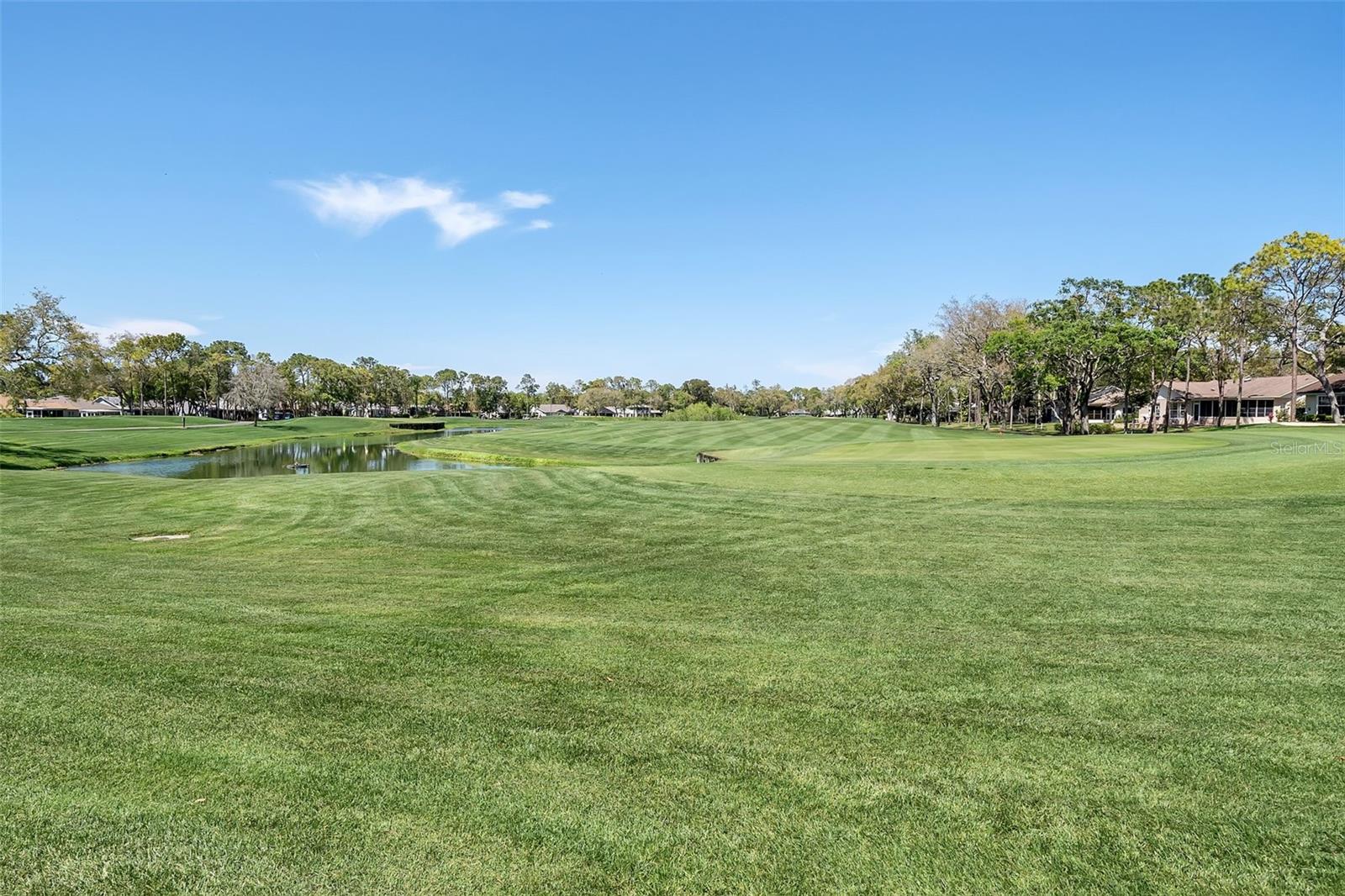 Listing photo id 81 for 7175 Bottle Brush Drive
