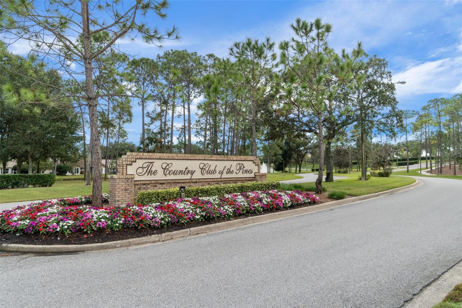 Listing photo id 92 for 7175 Bottle Brush Drive