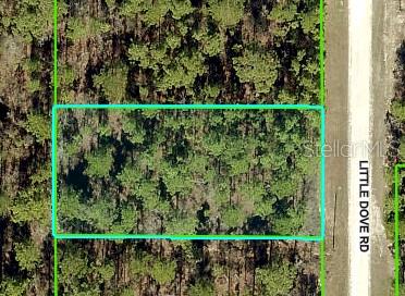 Details for 16433 Little Dove Road, WEEKI WACHEE, FL 34614