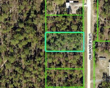 Listing photo id 0 for 16433 Little Dove Road