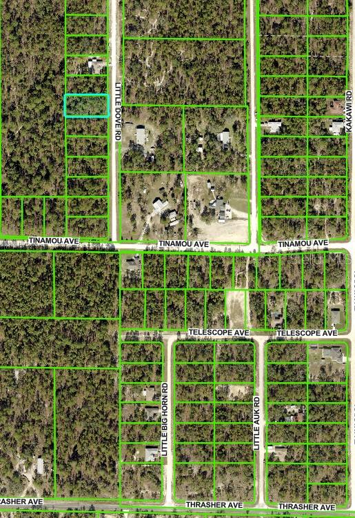 Listing photo id 1 for 16433 Little Dove Road