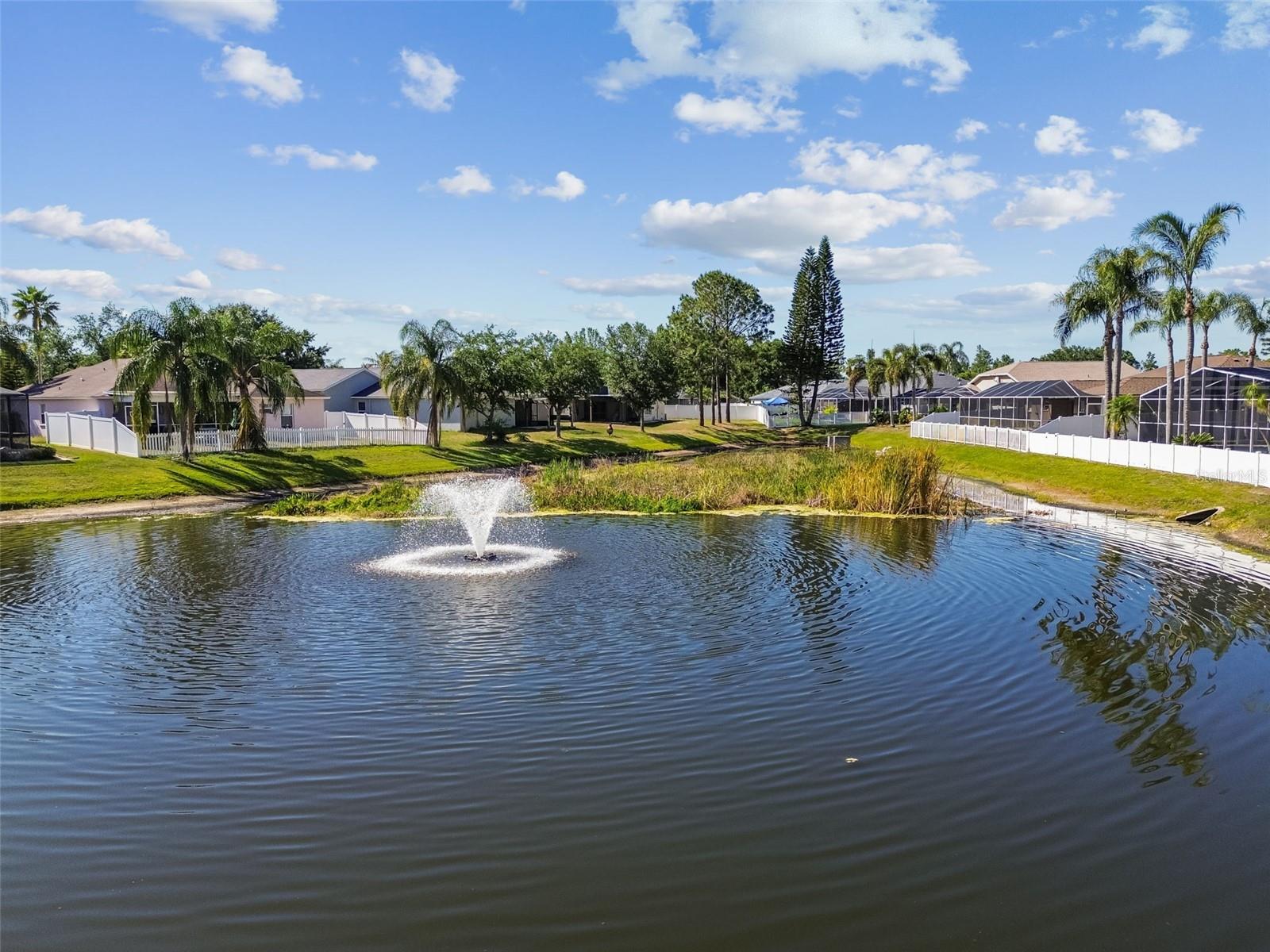 Image 5 of 73 For 22431 Willow Lakes Drive