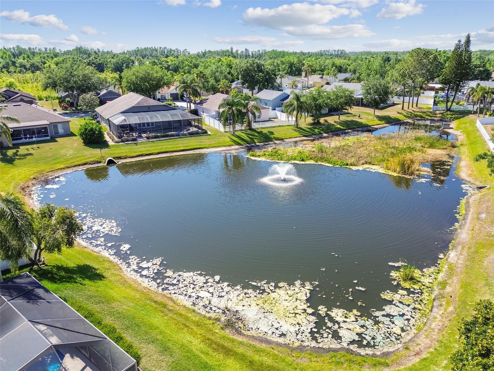 Image 57 of 73 For 22431 Willow Lakes Drive