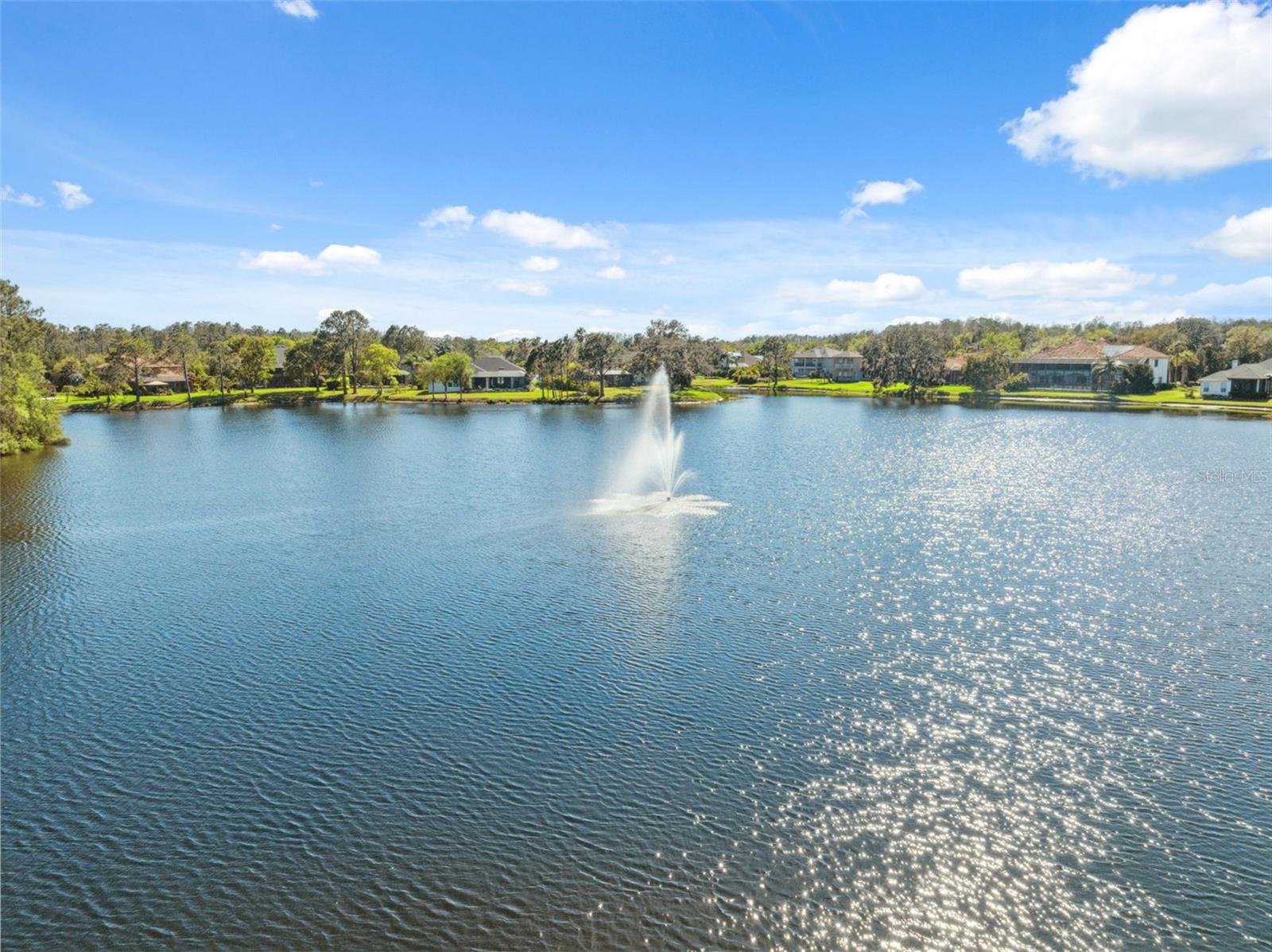Image 37 of 38 For 15413 Azra Drive