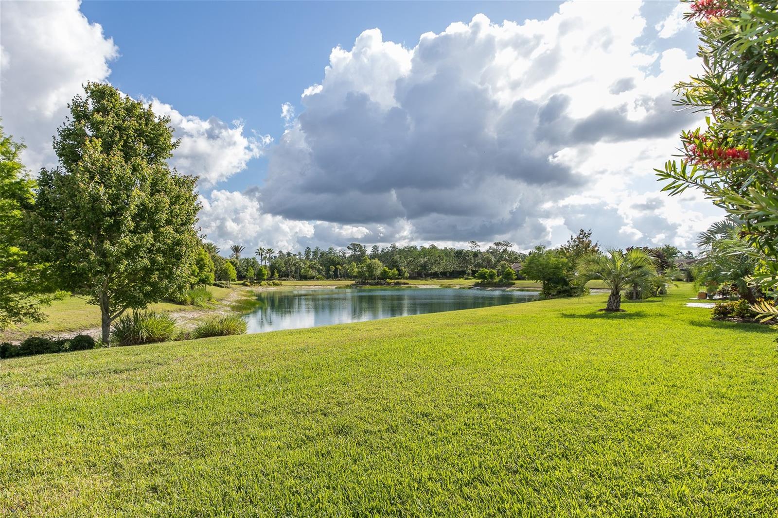 Image 56 of 79 For 11611 Callisia Drive