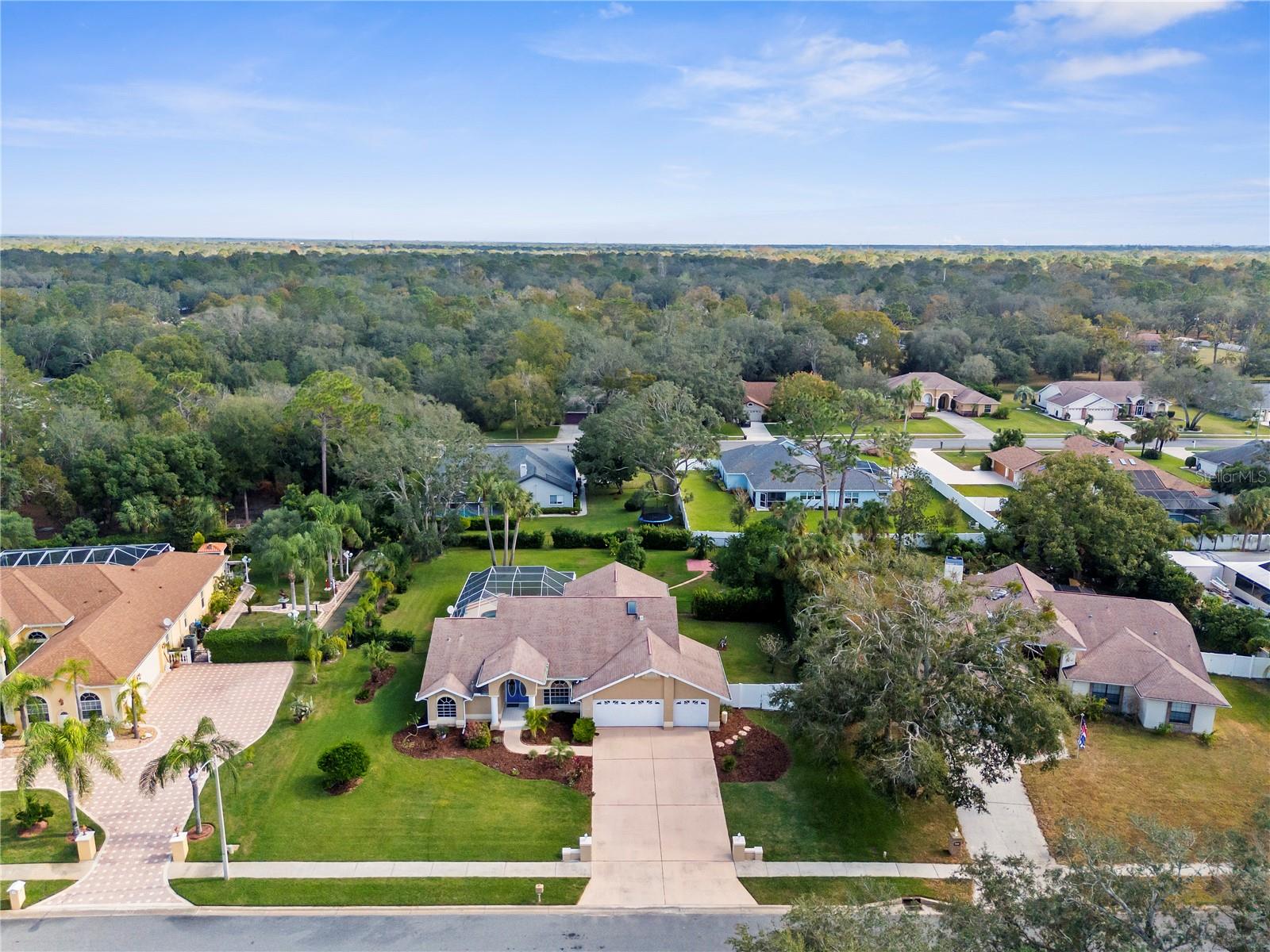 Listing photo id 49 for 18242 Autumn Lake Boulevard