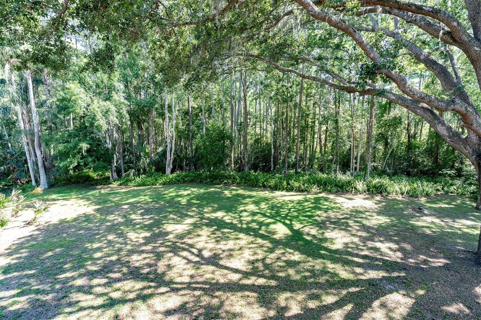 Listing photo id 0 for 6454 Summerfield Loop