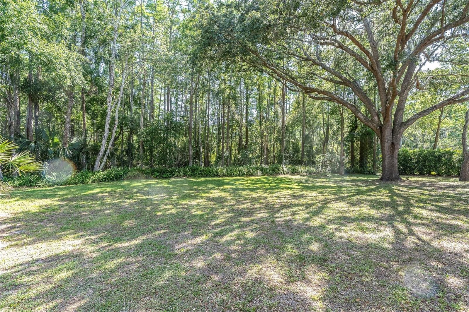 Listing photo id 43 for 6454 Summerfield Loop