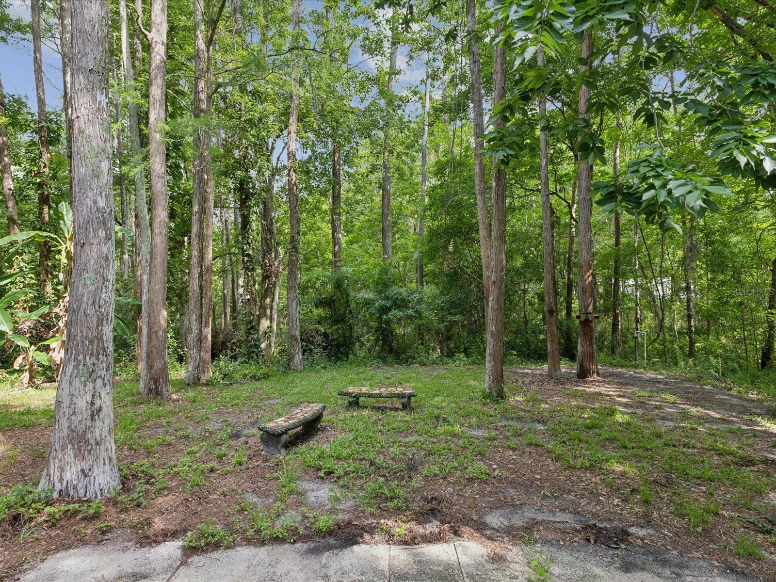 Image 13 of 16 For 11751 Key Lime Drive