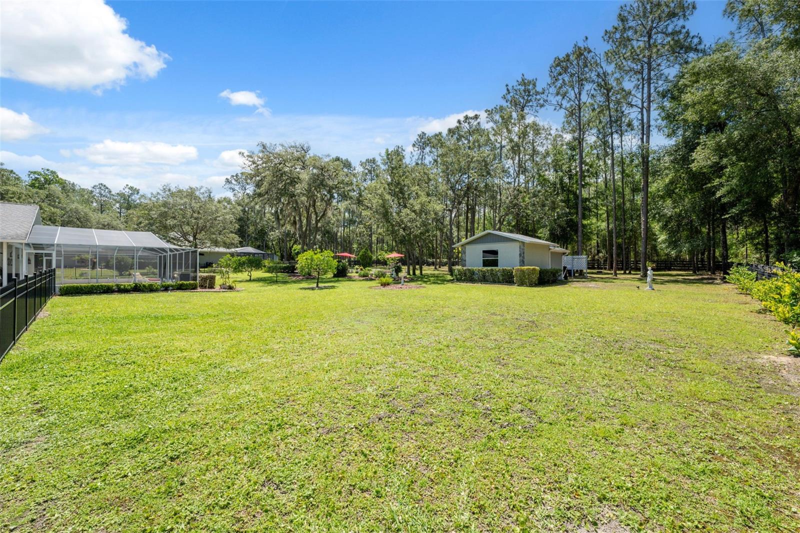 Listing photo id 42 for 1212 Redding Street