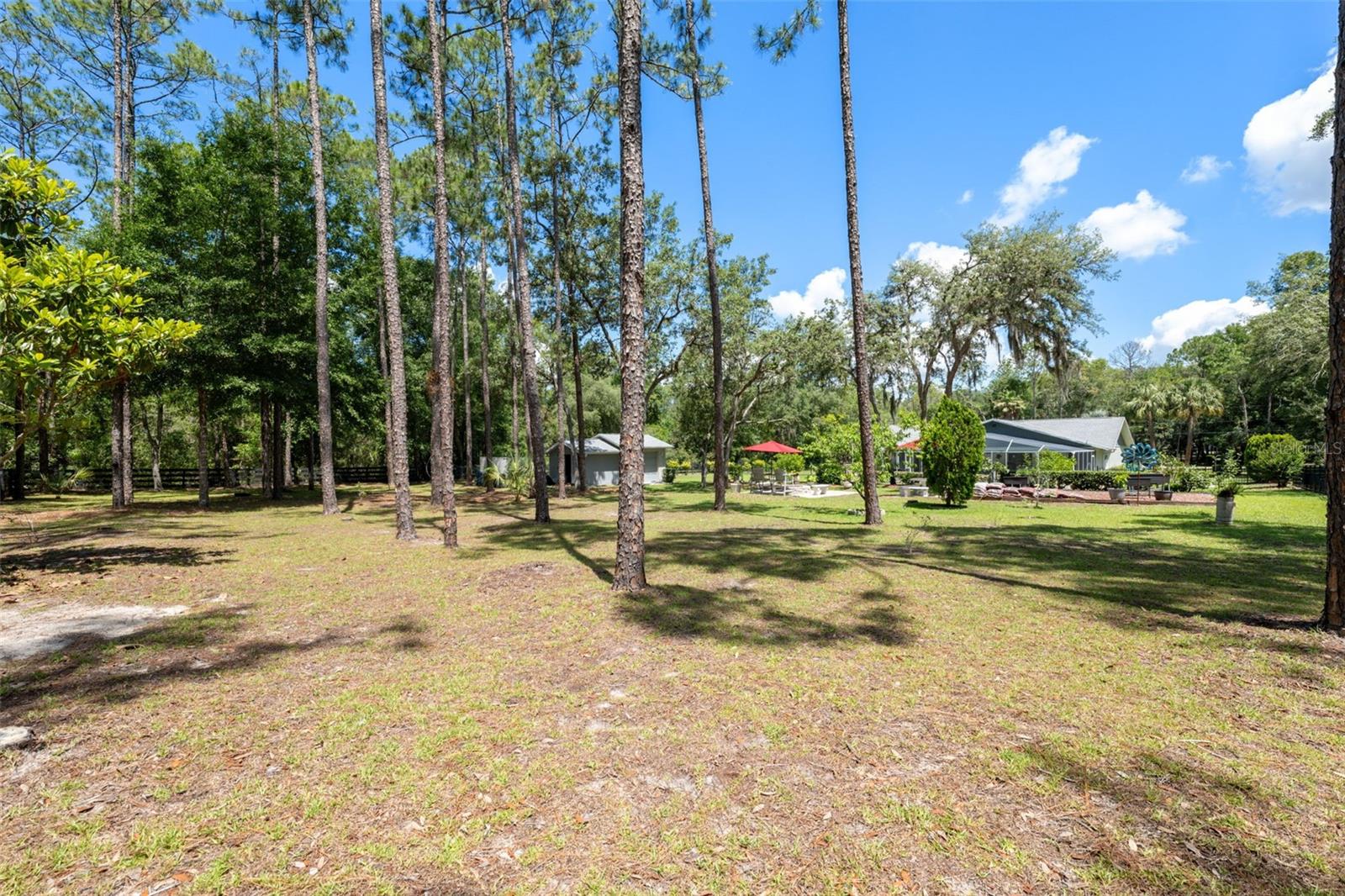Listing photo id 51 for 1212 Redding Street