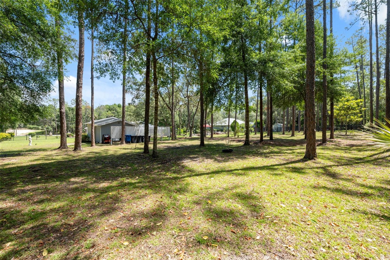 Listing photo id 56 for 1212 Redding Street
