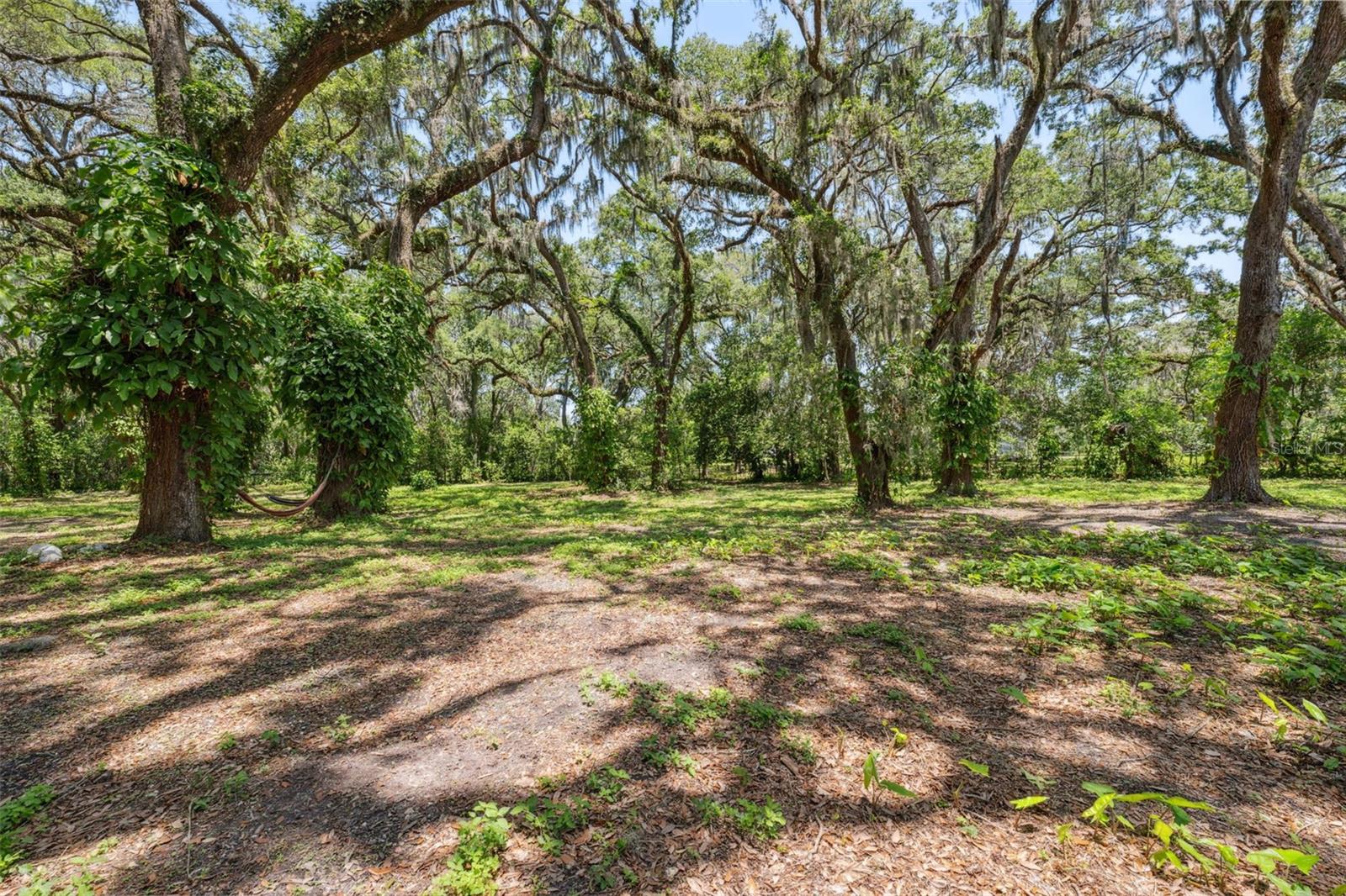 Image 41 of 48 For 10319 Kim Lane