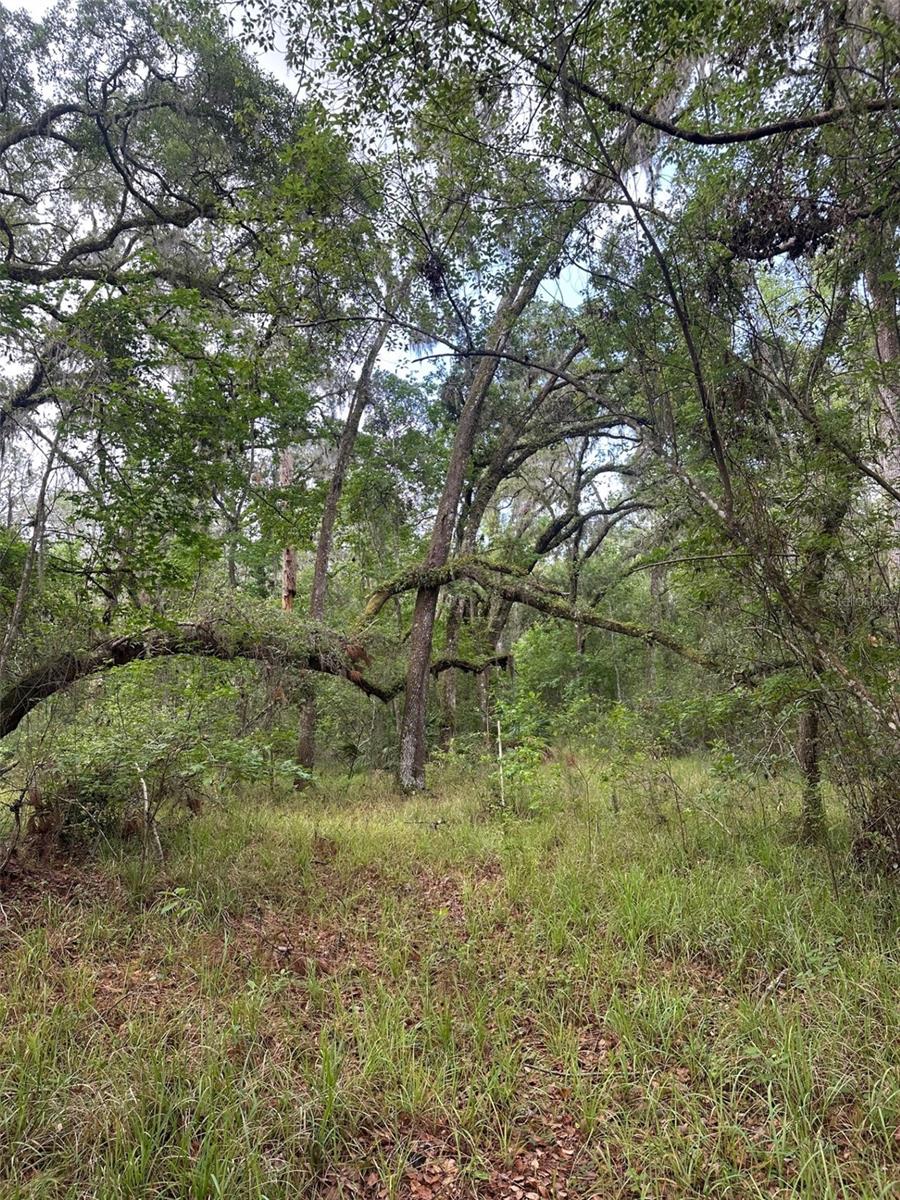 Image 6 of 15 For 0 Emerson Road