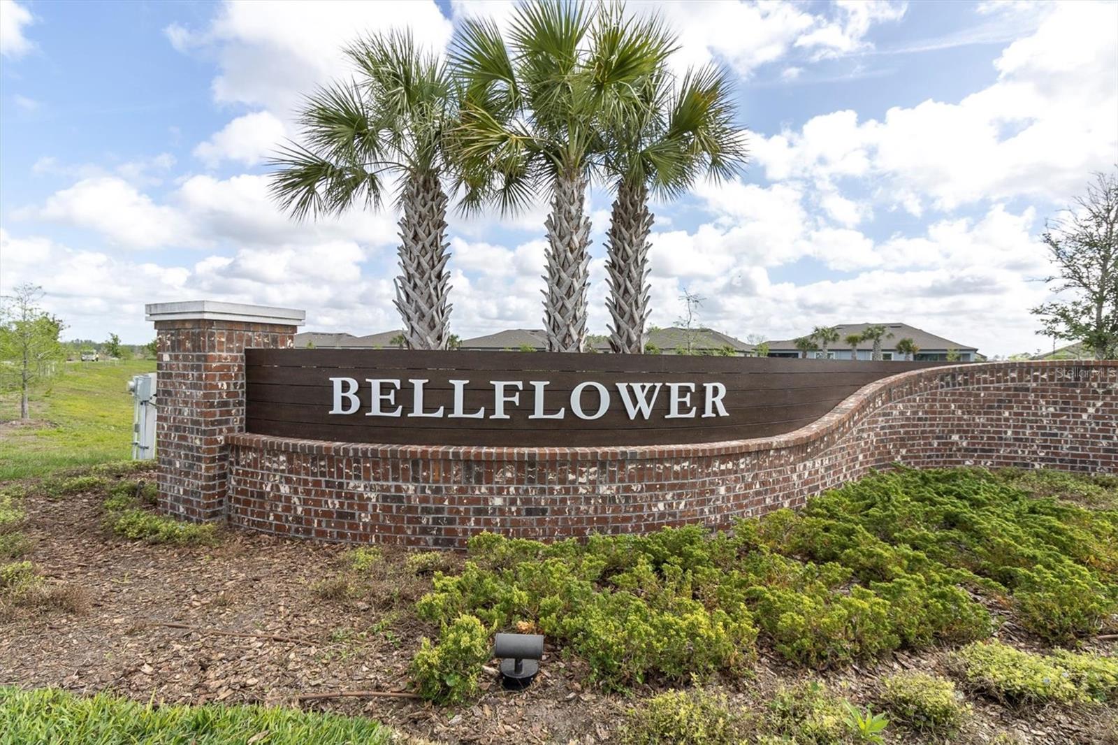 Details for 9967 Red Bay Loop, LAND O LAKES, FL 34637
