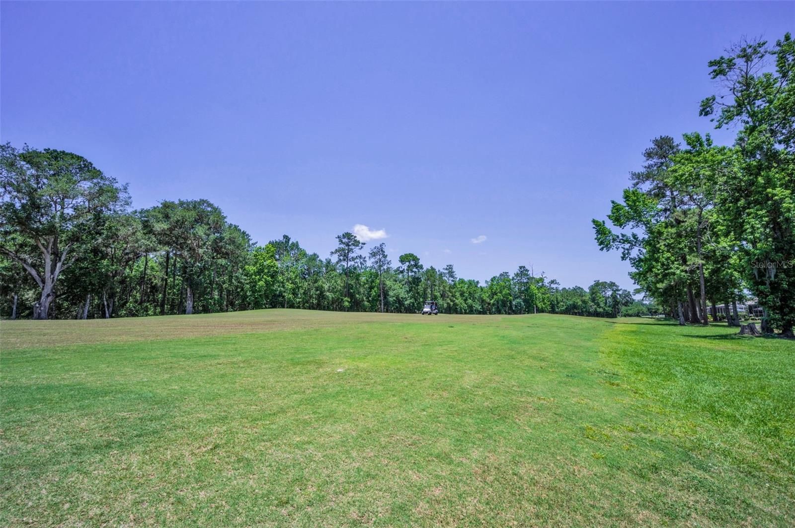 Image 3 of 79 For 4485 Gevalia Drive