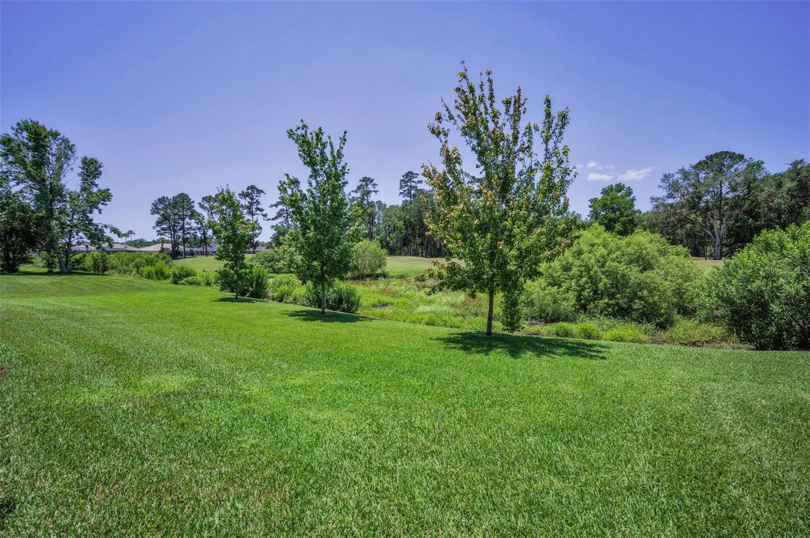 Image 44 of 79 For 4485 Gevalia Drive