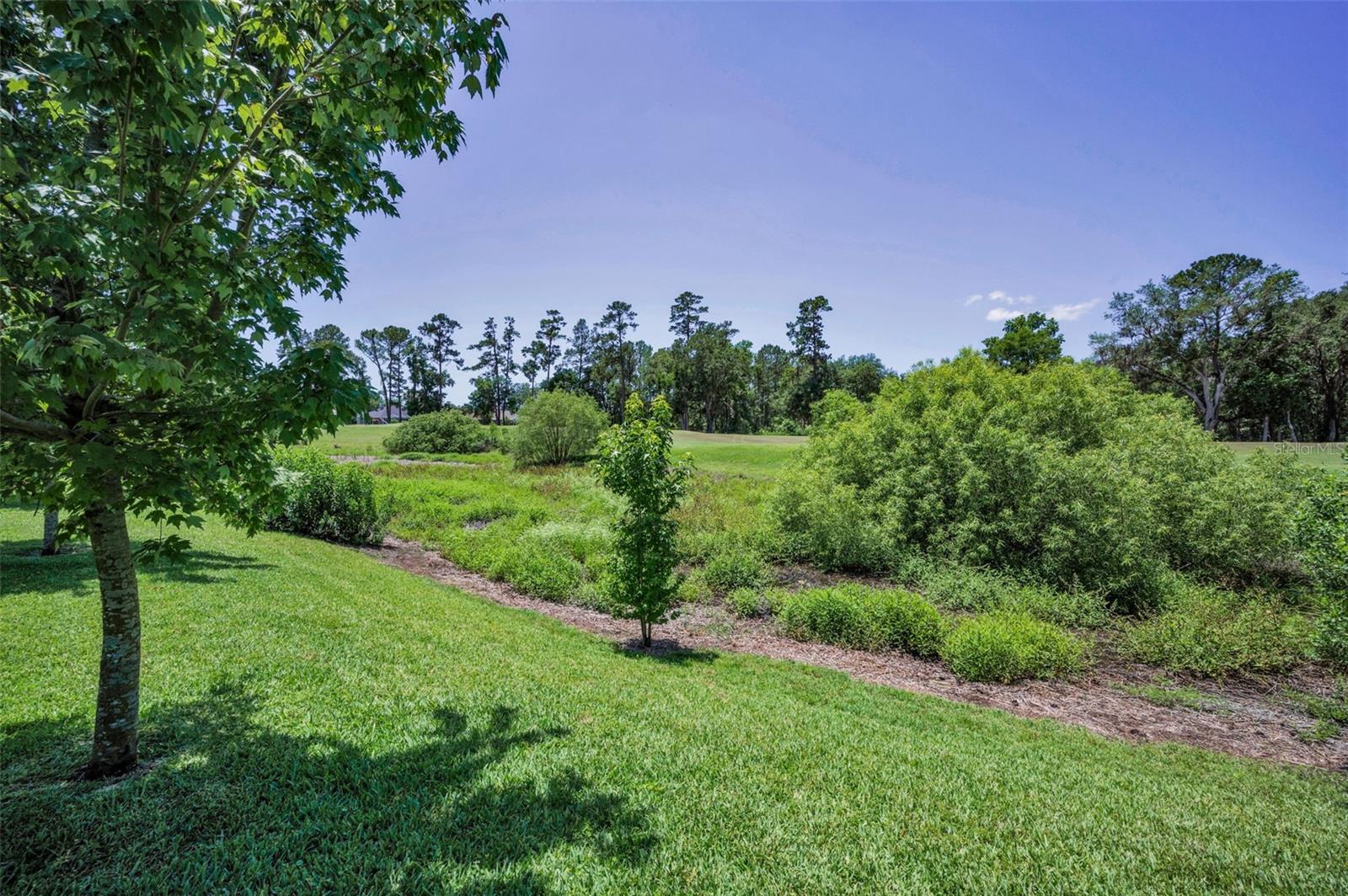 Image 51 of 79 For 4485 Gevalia Drive