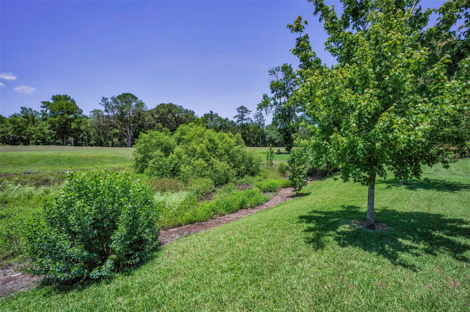 Image 54 of 79 For 4485 Gevalia Drive
