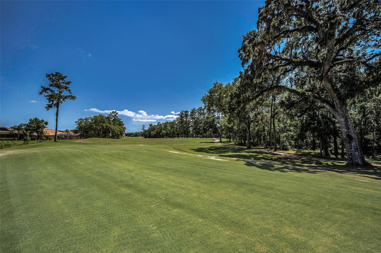 Image 70 of 79 For 4485 Gevalia Drive