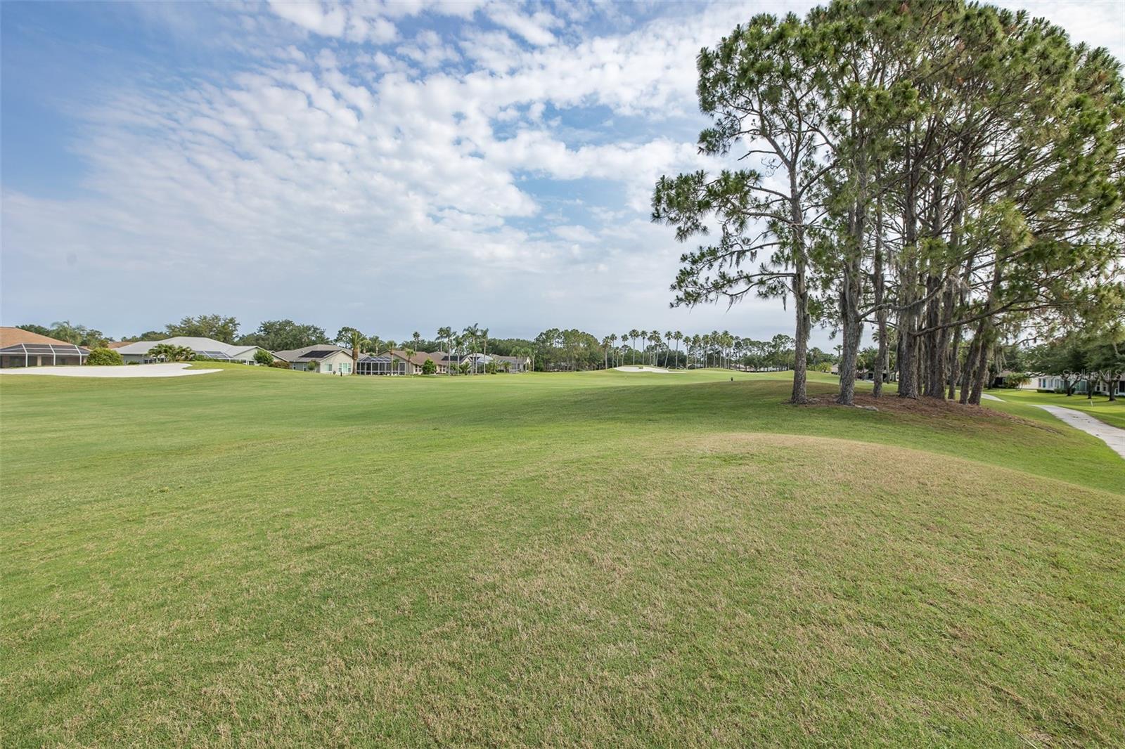 Listing photo id 42 for 1105 Flora Vista Street