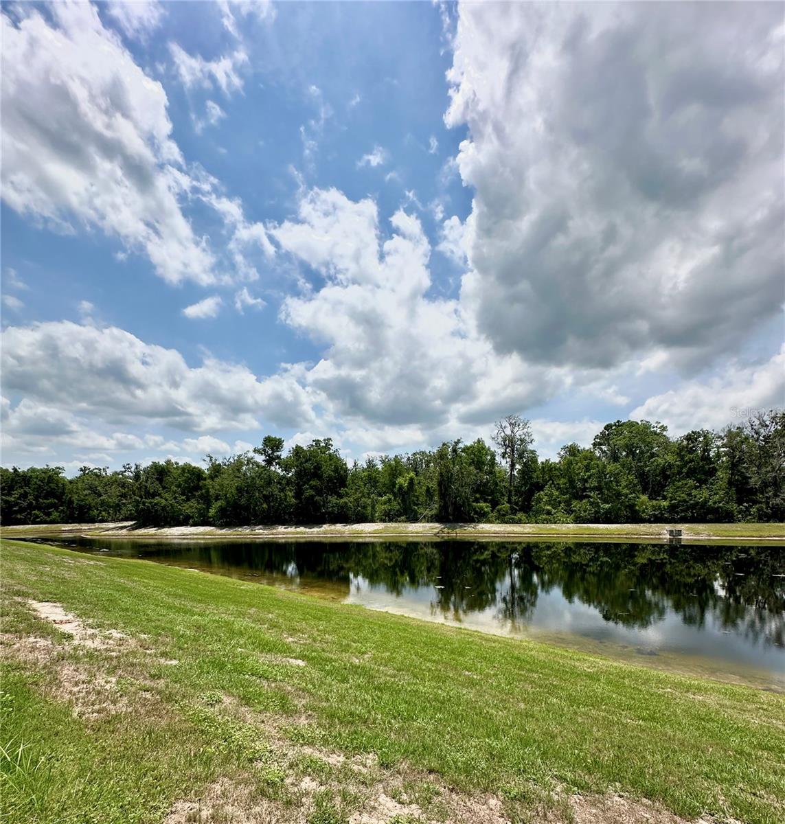 Listing photo id 31 for 11055 Belle Haven Drive