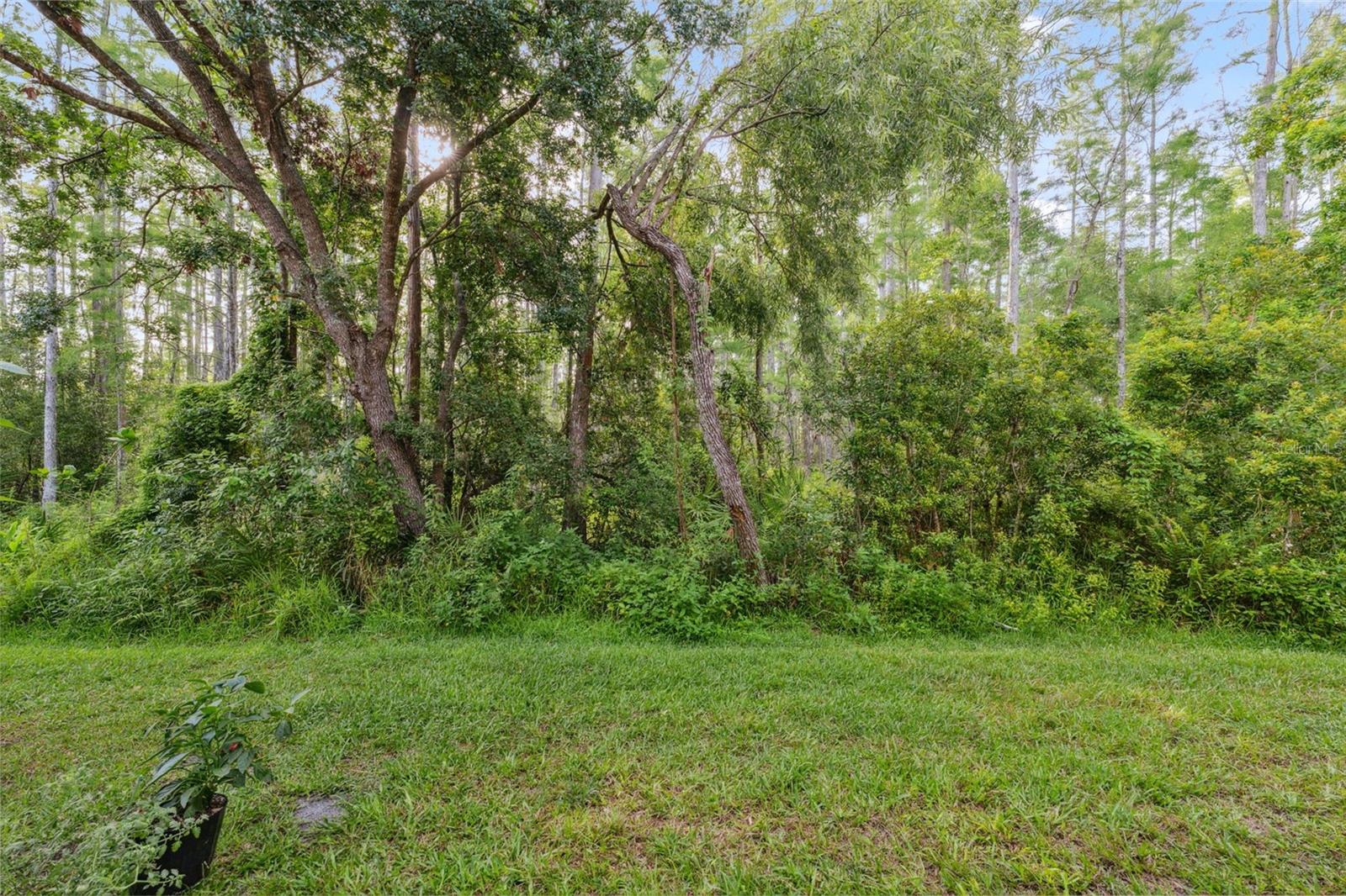 Image 28 of 38 For 1108 Blackwater Drive