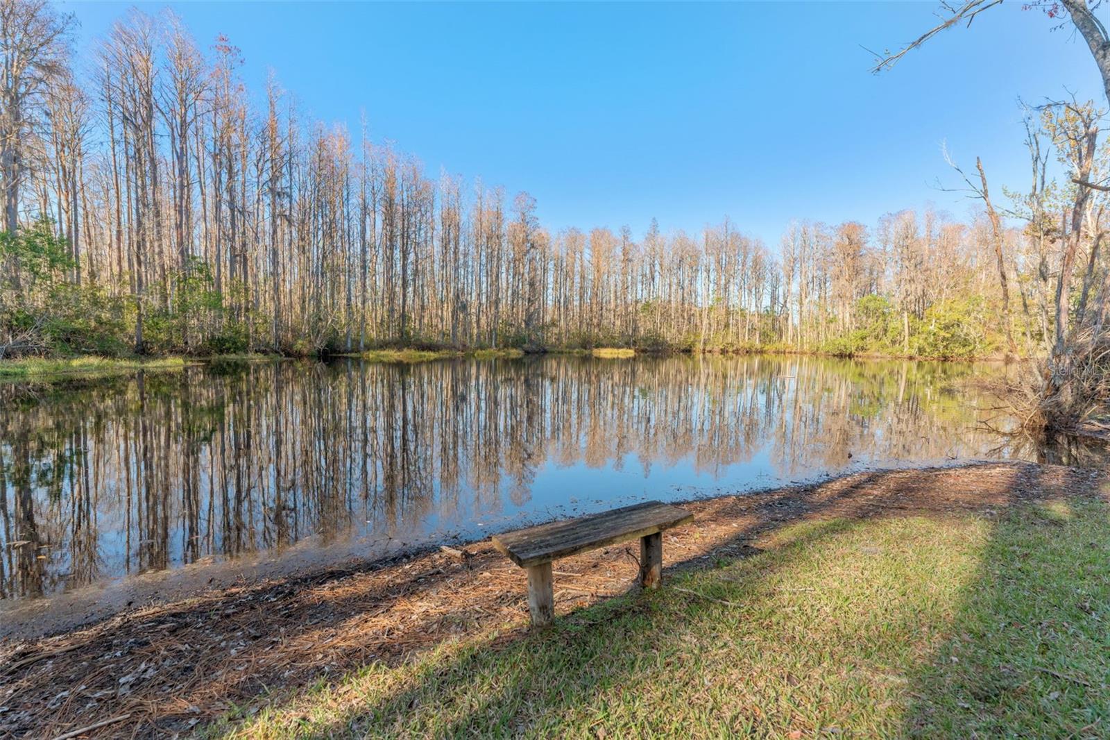 Image 36 of 43 For 12155 Environmental Drive 8