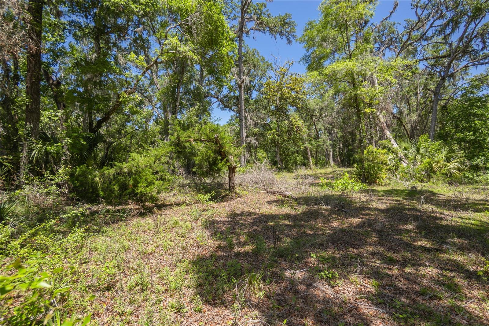Image 4 of 24 For 105 239th Avenue